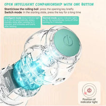 Load image into Gallery viewer, USB Charging Automatic 360 Degree Automatic Pet Rolling Ball For Puppy Cats Kitten - Blue_5