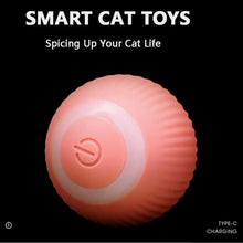 Load image into Gallery viewer, USB Charging Automatic 360 Degree Automatic Pet Rolling Ball For Puppy Cats Kitten - Pink_3