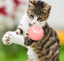 Load image into Gallery viewer, USB Charging Automatic 360 Degree Automatic Pet Rolling Ball For Puppy Cats Kitten - Pink_0