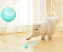 Load image into Gallery viewer, USB Charging Automatic 360 Degree Automatic Pet Rolling Ball For Puppy Cats Kitten - Blue_0
